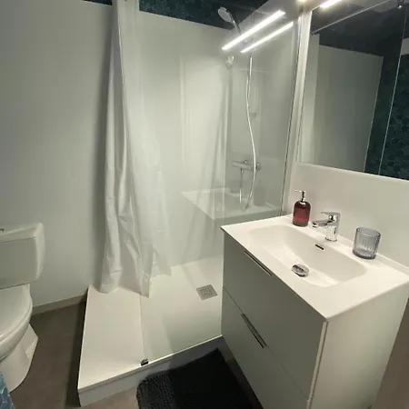 L'arbre Du Voyageur, Face A L'ocean, Quartier Des Presidents, 2 Pers *